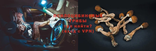 амф Алексеевка