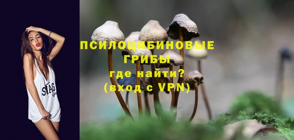 дживик Алексин