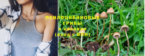 амф Алексеевка