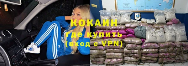 дживик Алексин