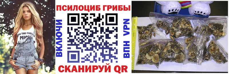 Галлюциногенные грибы мухоморы  где купить наркотик  Трёхгорный 